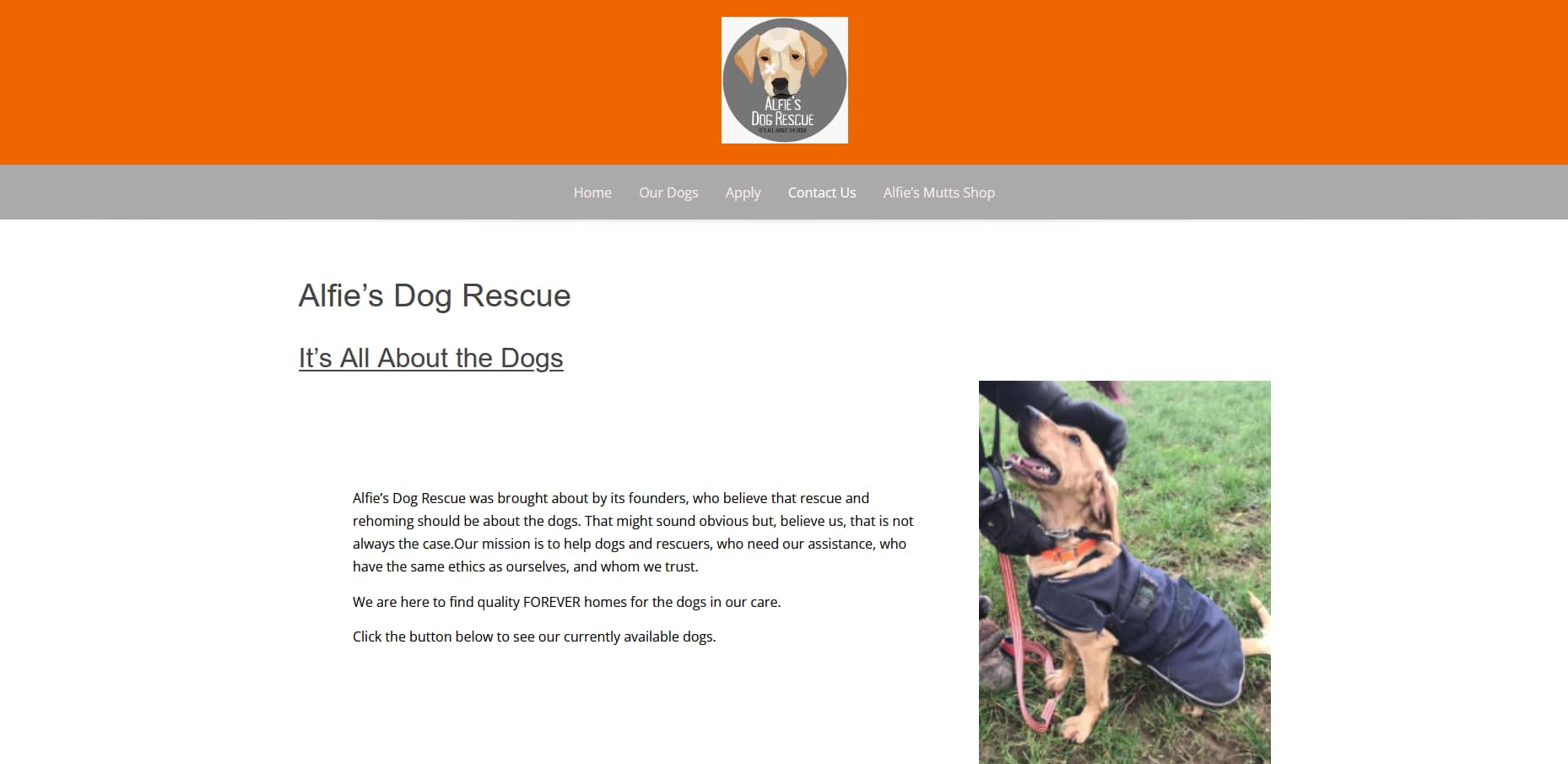 Alfies dog rescue website screenshot